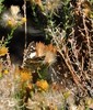 photo thumbnail #13