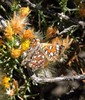 photo thumbnail #15
