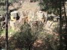 photo thumbnail #5