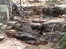 photo thumbnail #7