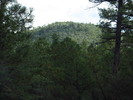 photo thumbnail #15