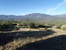 photo thumbnail #2