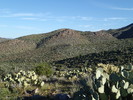 photo thumbnail #4
