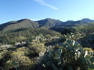 photo thumbnail #7