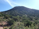 photo thumbnail #11