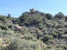 photo thumbnail #12