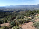 photo thumbnail #13