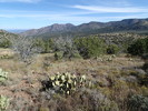 photo thumbnail #15