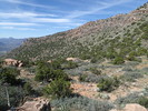 photo thumbnail #3