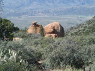 photo thumbnail #5