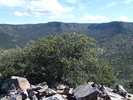 photo thumbnail #9