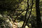 photo thumbnail #5