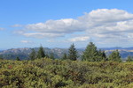 photo thumbnail #10
