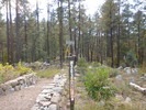 photo thumbnail #5