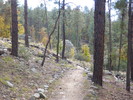 photo thumbnail #6