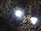 photo thumbnail #11
