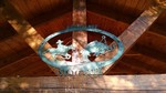 photo thumbnail #4