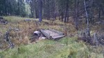photo thumbnail #3