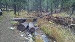 photo thumbnail #4