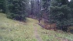 photo thumbnail #5