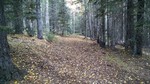 photo thumbnail #9