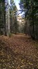 photo thumbnail #10