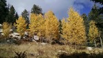 photo thumbnail #1