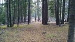 photo thumbnail #4