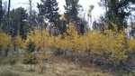 photo thumbnail #6