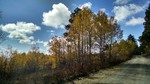 photo thumbnail #1