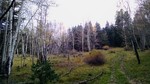 photo thumbnail #11