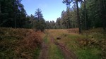 photo thumbnail #12