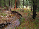 photo thumbnail #8