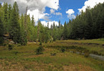 photo thumbnail #10