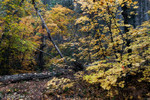 photo thumbnail #8