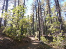 photo thumbnail #3