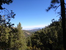 photo thumbnail #8