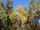photo thumbnail #10