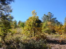 photo thumbnail #11