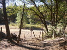 photo thumbnail #13