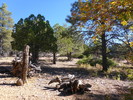 photo thumbnail #15
