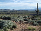 photo thumbnail #7