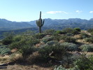 photo thumbnail #10
