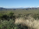 photo thumbnail #12