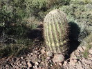 photo thumbnail #9