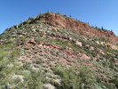 photo thumbnail #11