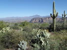 photo thumbnail #14