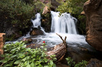 photo thumbnail #7