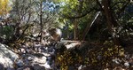 photo thumbnail #13
