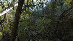 photo thumbnail #14